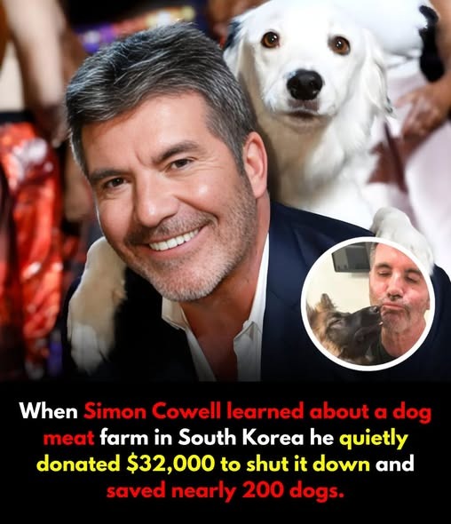 In 2018, Simon Cowell quietly donated 32,000 to shut down a dog meat