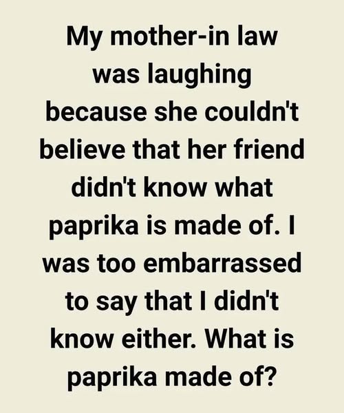 The Secret My MotherinLaw Revealed with Just One Laugh Everything