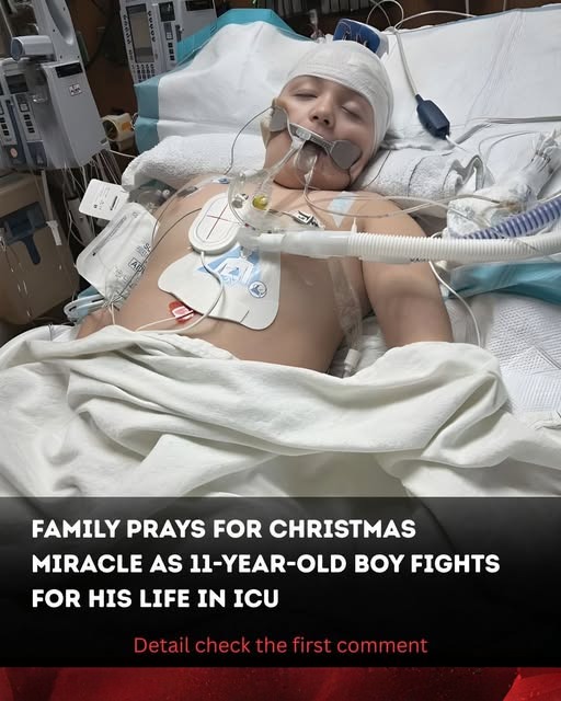 Family prays for Christmas miracle as 11-year-old boy fights for his ...
