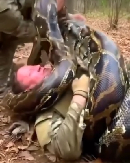 Soldiers Save Comrade from Giant Snake Attack.